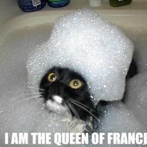 Meet your Posher, Lisa